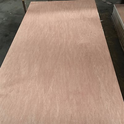 बिंटांगोर प्लाईवुड