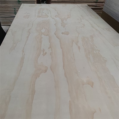 पाइन प्लाईवुड